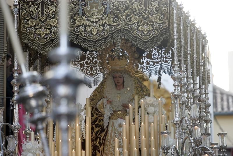 Domingo de Ramos de 2016 | Salud