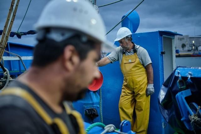 Descarga de atún en el puerto de Santa Cruz