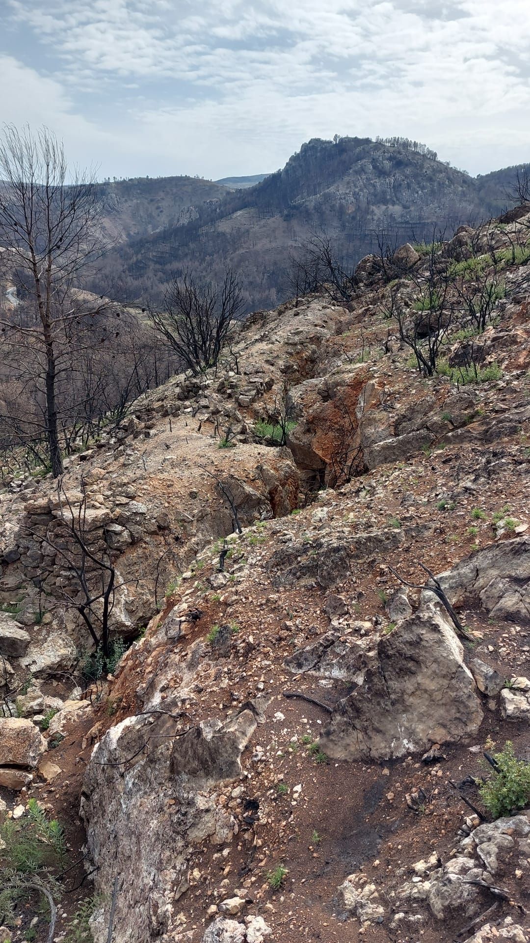 Las construcciones bélicas que ha encontrado Torás a raíz del incendio de Bejís