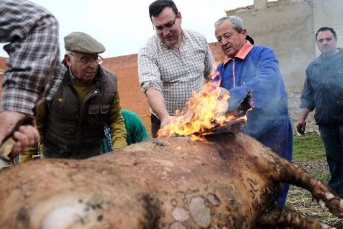 Matanza tradicional en Monfarracinos