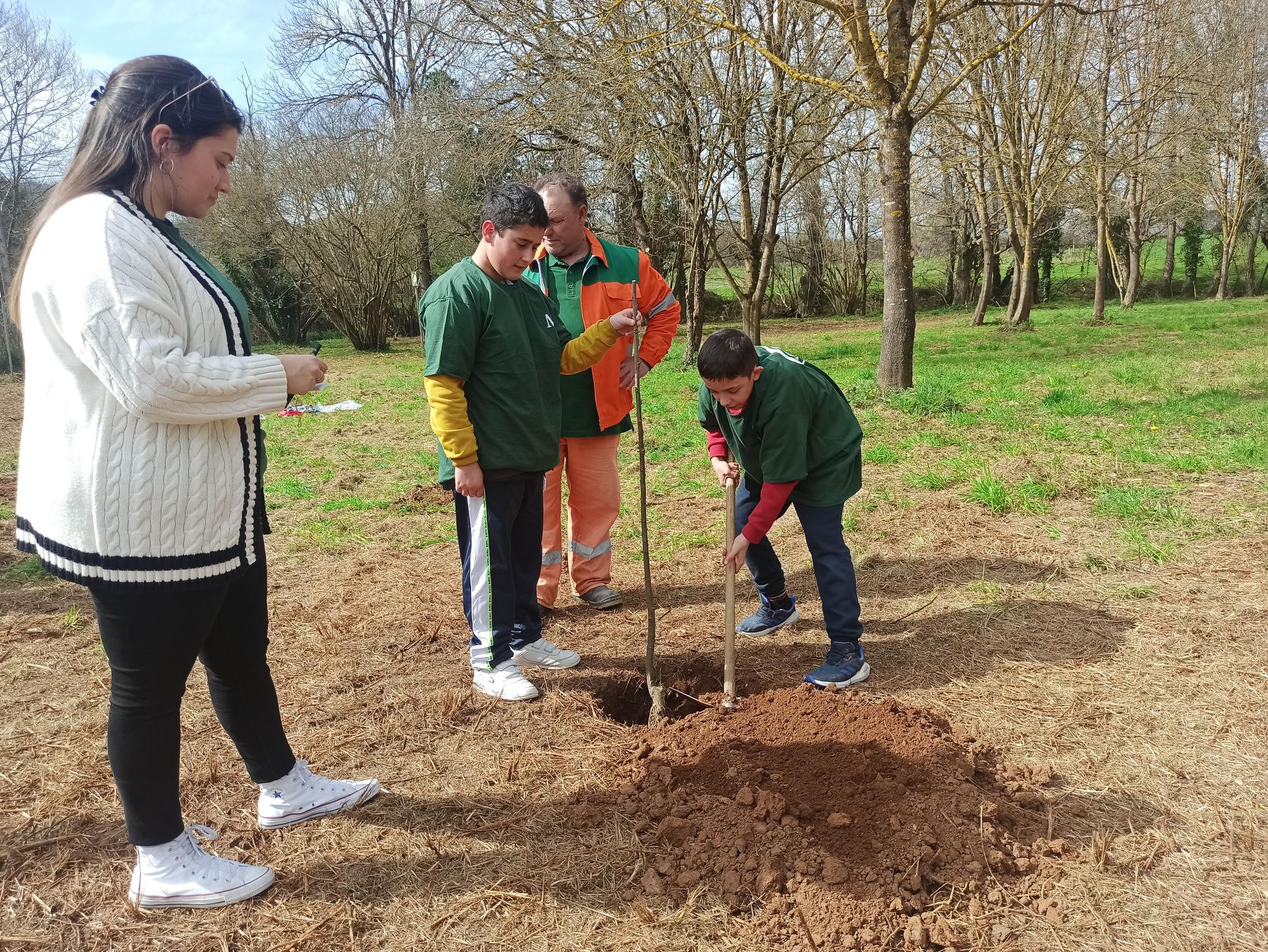 Los escolares de San Cucao ponen freno a la huella de carbono con la plantación de árboles frutales, así fue la jornada ambiental