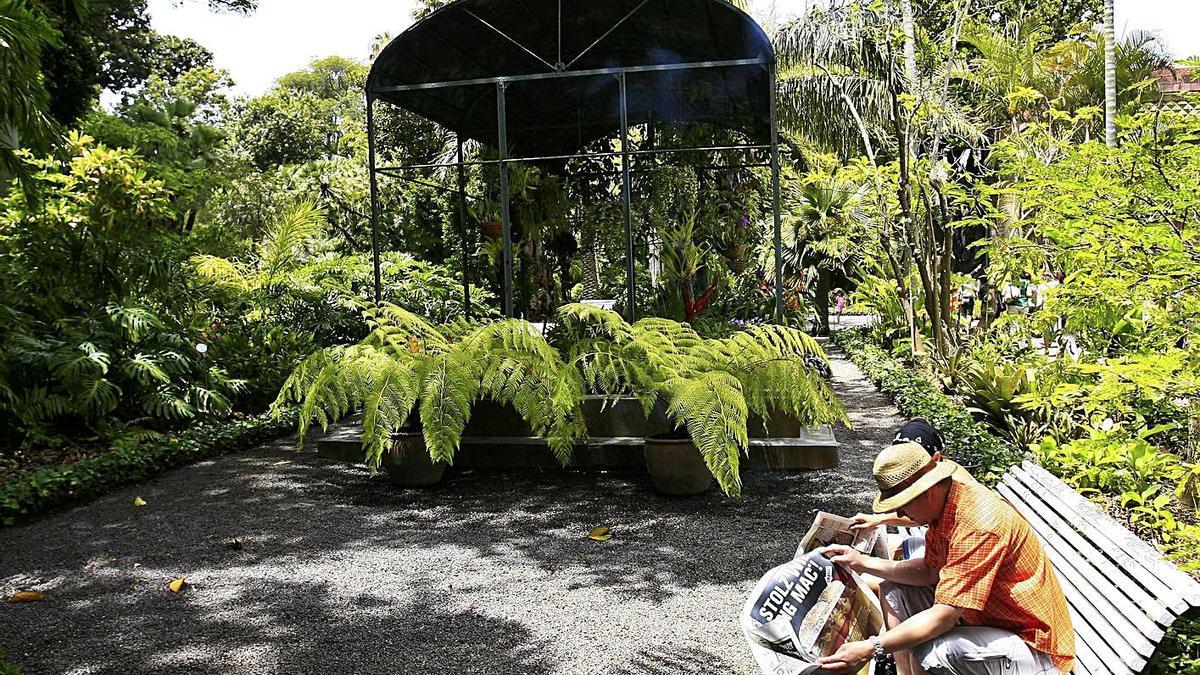 Imagen de archivo del Jardín Botánico de Puerto de la Cruz.