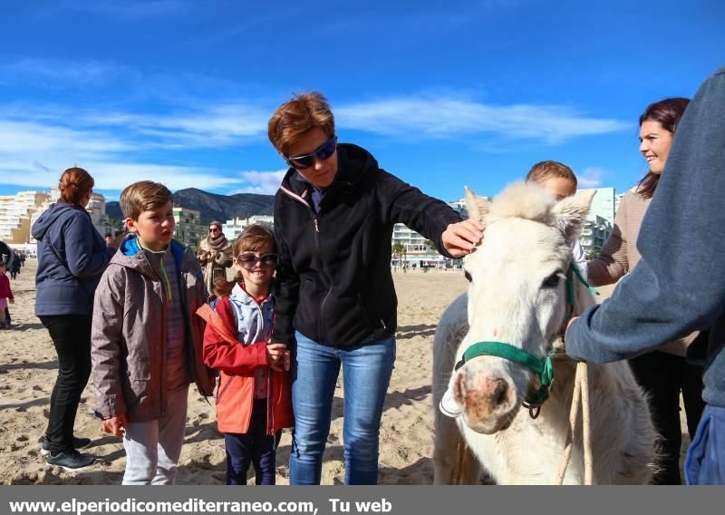 La playa de la Concha de Orpesa es un hipódromo por un día