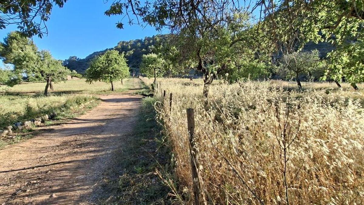 Una imagen del valle de Raixa, en Bunyola.