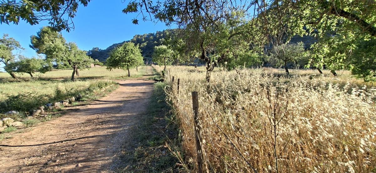 Otra imagen del valle de Raixa, en Bunyola.