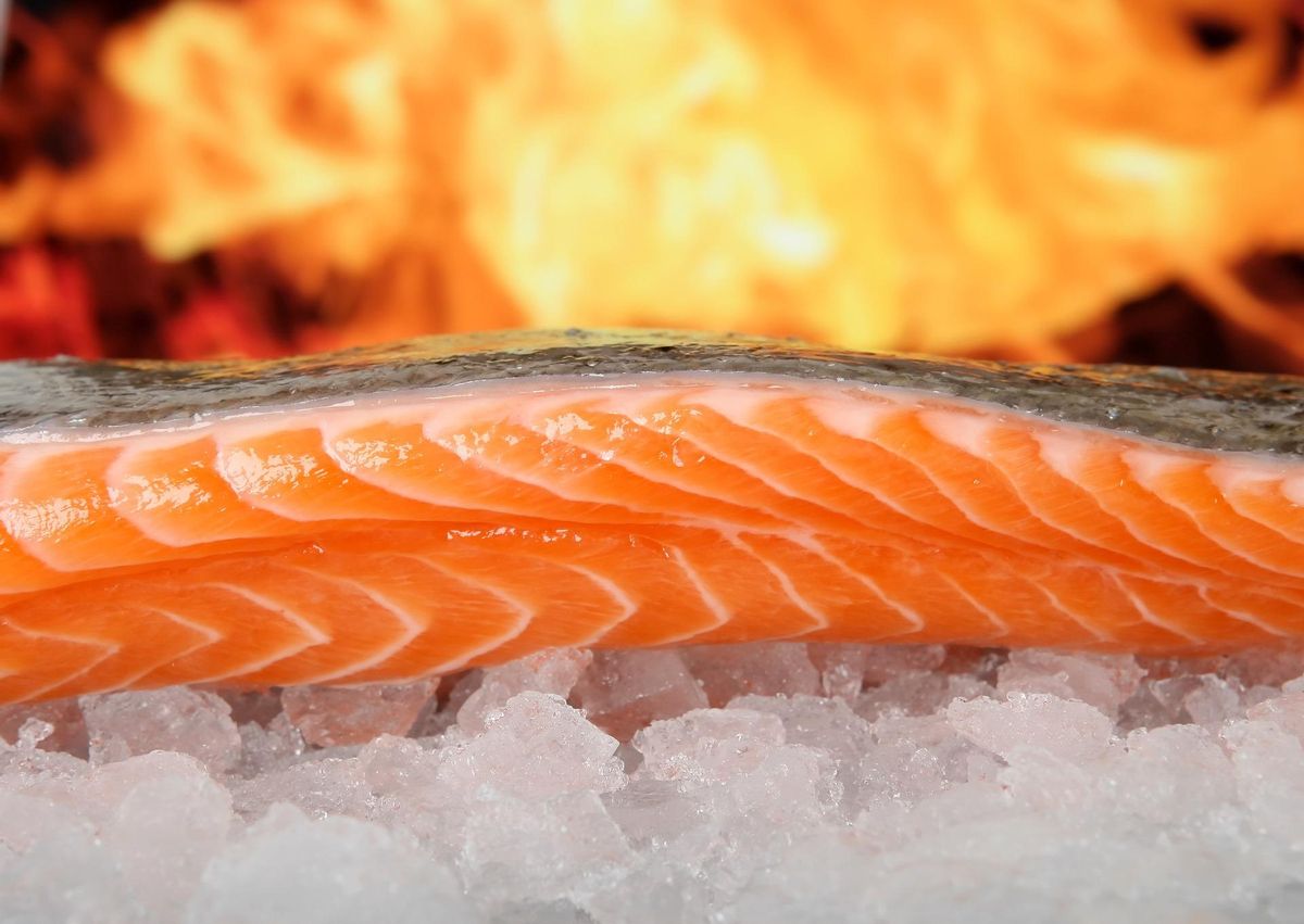 El Omega 3 está presente en numerosos pescados y otros alimentos.