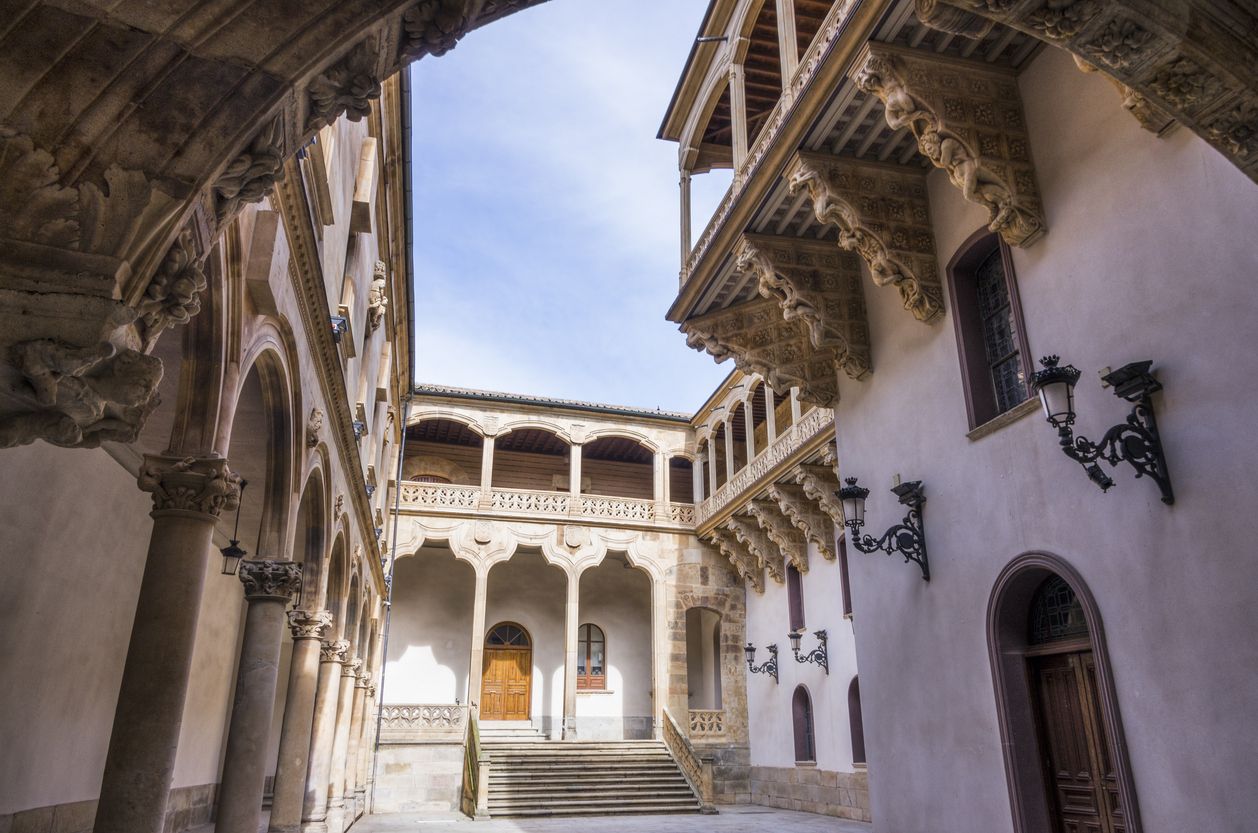El Palacio de las Salinas está en el centro de Salamanca, pero no todos los viajeros se animan a entrar.