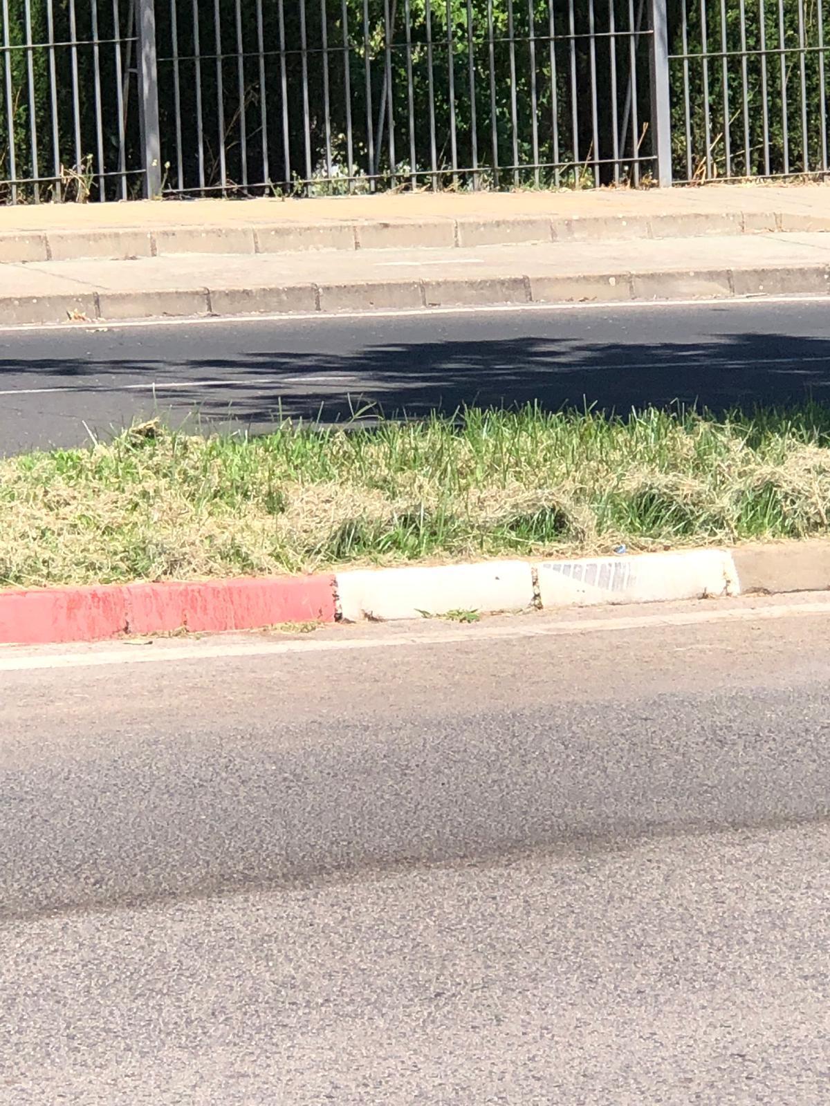 Estado de zonas verdes en Cáceres.