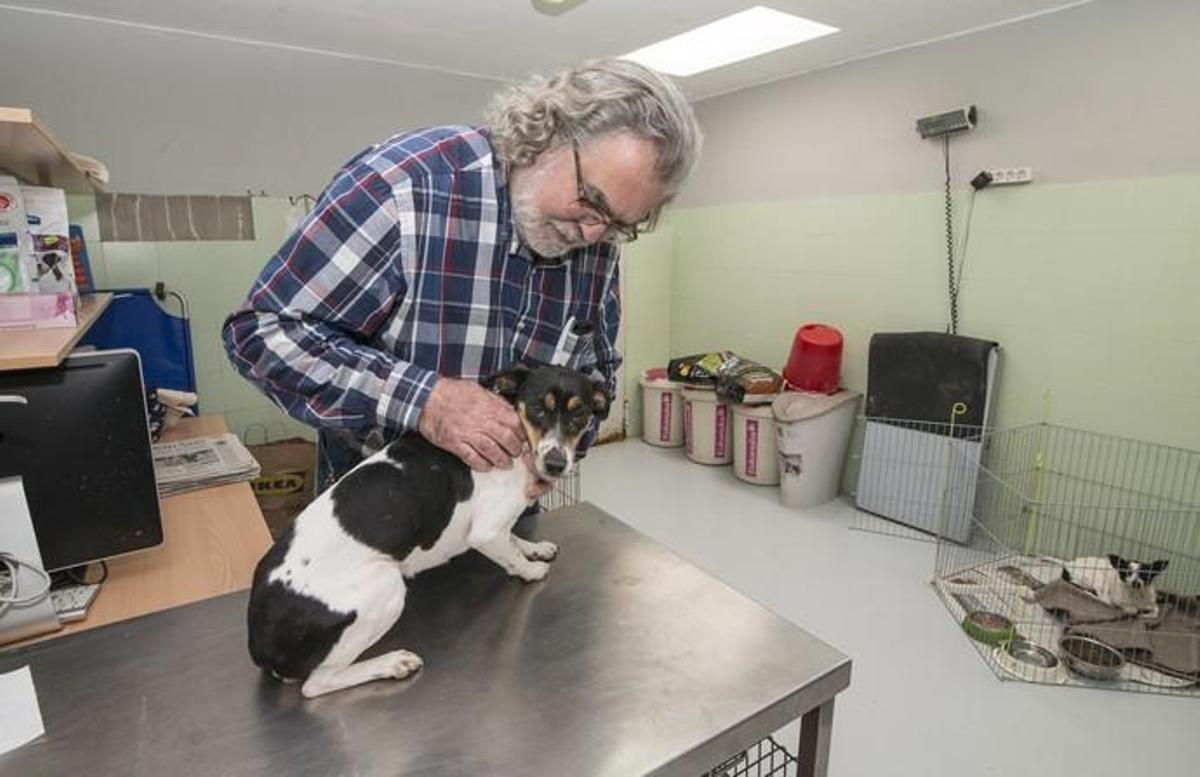 03/01/2019 ARUCAS. Albergue Insular de animales.  FOTO: J. PÉREZ CURBELO