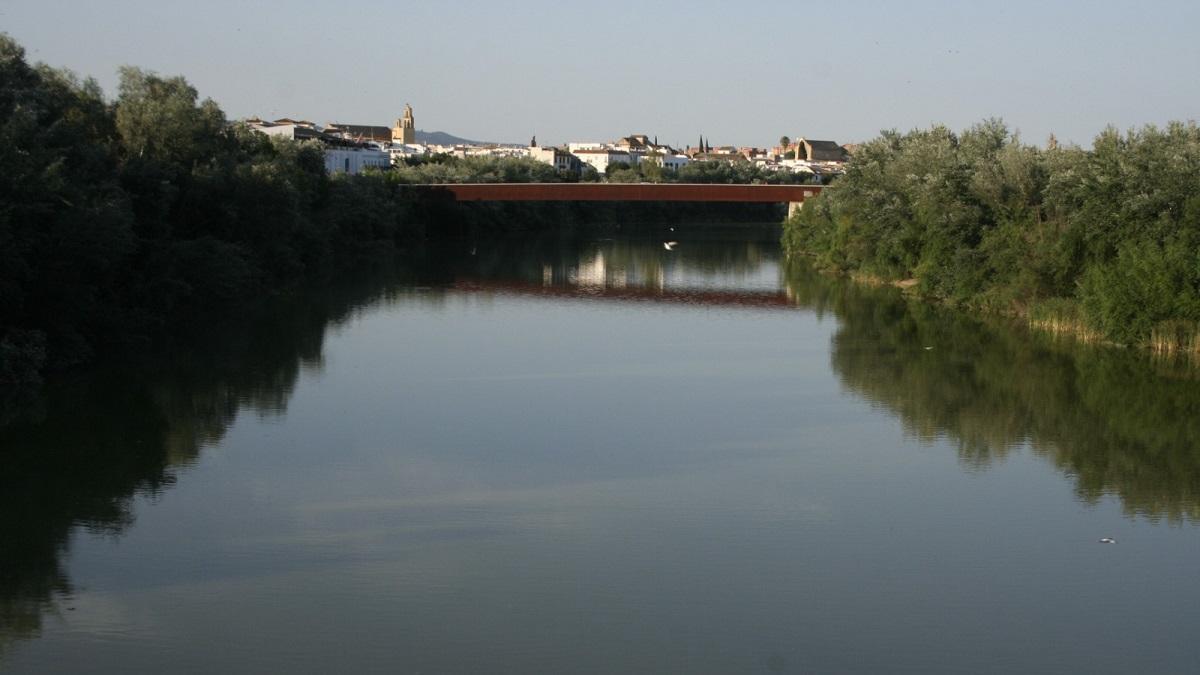 Imagen del río Guadalquivir, con el puente de Miraflores al fondo.