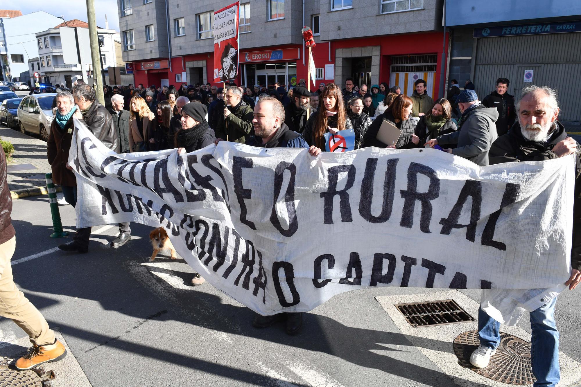 Marcha el Carral contra la "invasión eólica"