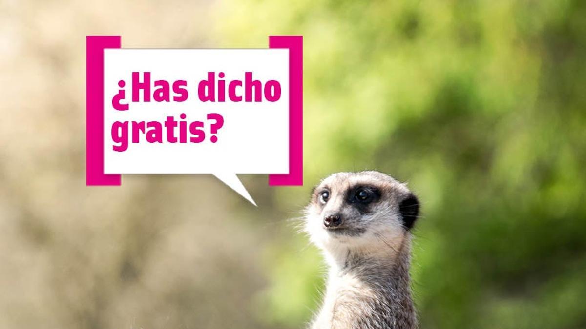 Animales: ¿has dicho gratis?