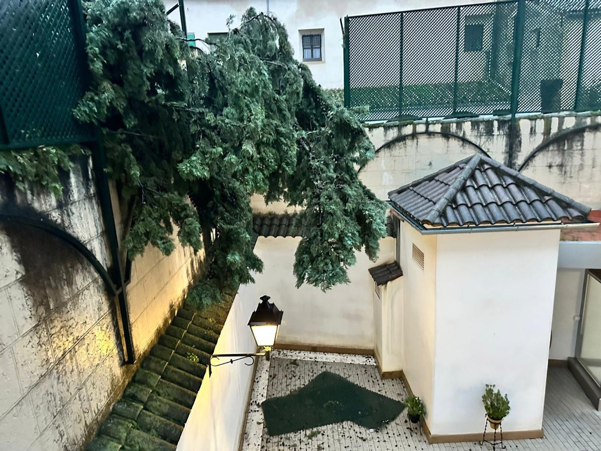 Cubierta del aparcamiento que se cayó por el viento.