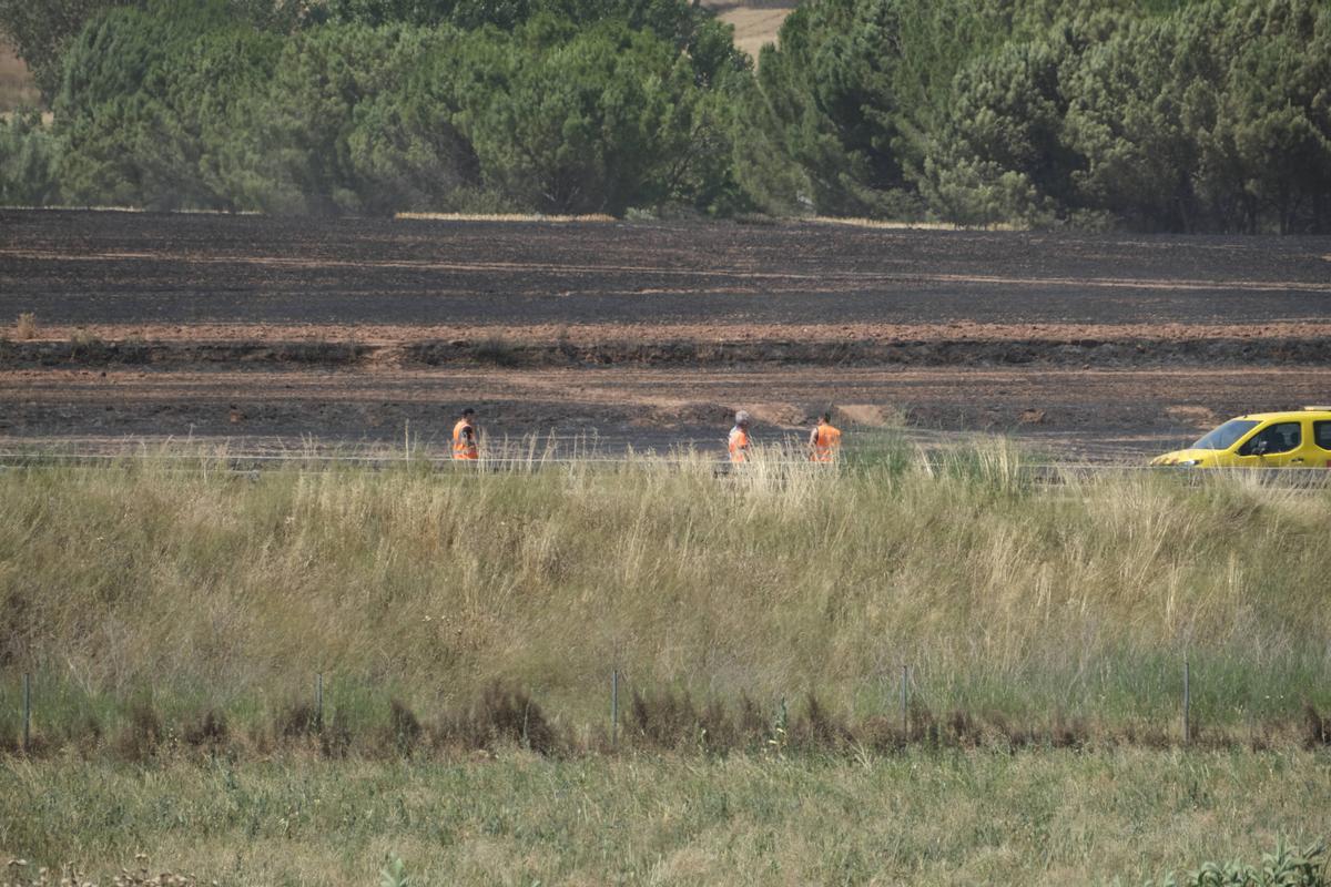 Així ha estat el dispositiu per frenar l'incendi a Sant Fruitós d'aquest dimarts