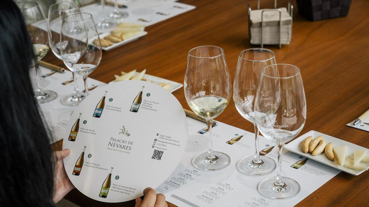 Visita y cata en la Bodega Palacio de Nevares