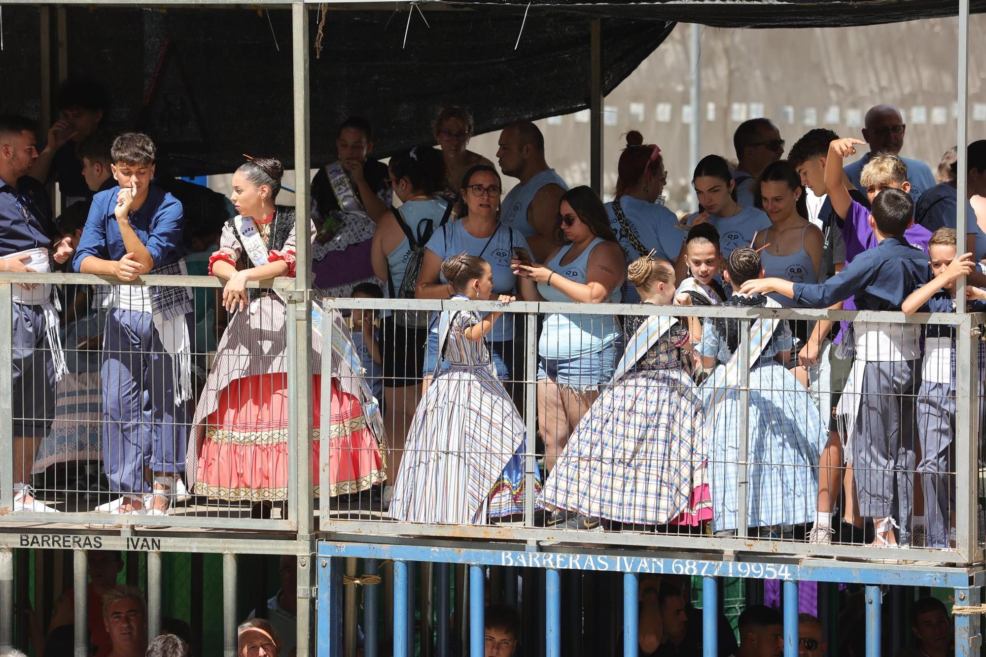 Encierro de cerriles en las fiestas de Sant Pere del Grau