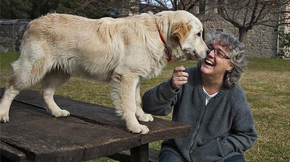 Mayte Martín, assajant en el seu refugi de Maçanet de Cabrenys.