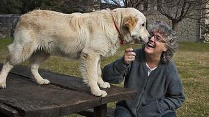 Mayte Martín, assajant en el seu refugi de Maçanet de Cabrenys.