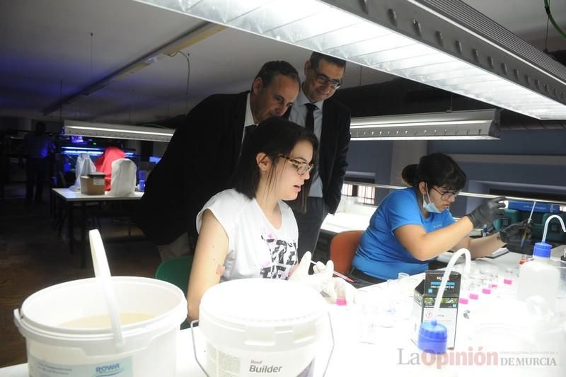 El acuario de la UMU albergará las especies emblemáticas del Mar Menor