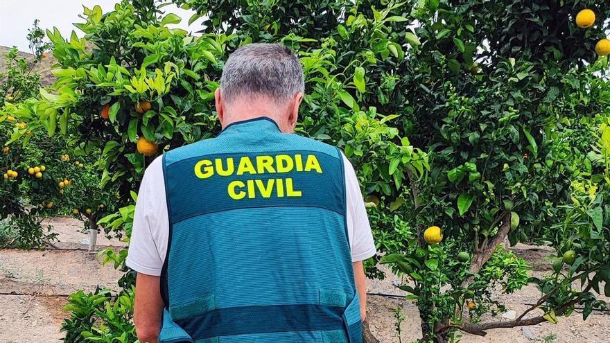 Un agente de la Guardia Civil, durante la investigación