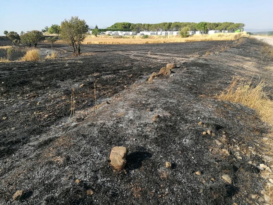 El desolador paisatge després del foc