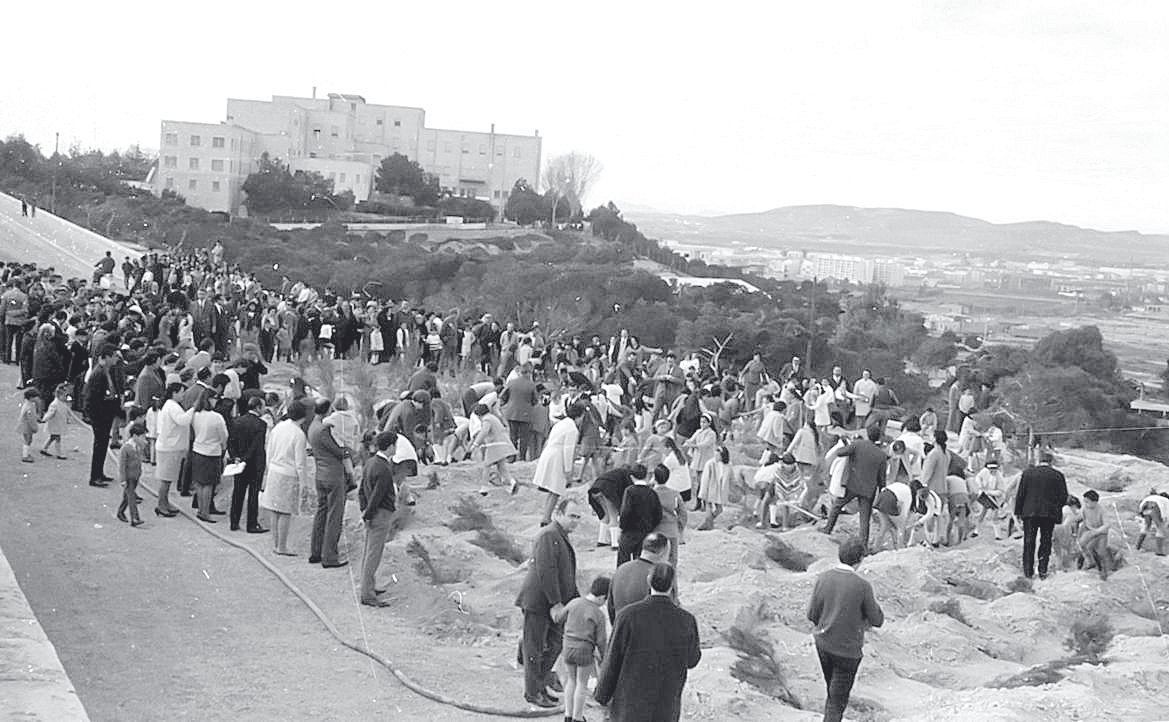 Hace 50 años en Alicante: las imágenes destacadas de la semana del 21 al 21 de enero de 1974