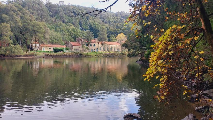 La ruta de Galicia que oculta la catedral de la luz de Palacios, un puente colgante o una singular iglesia