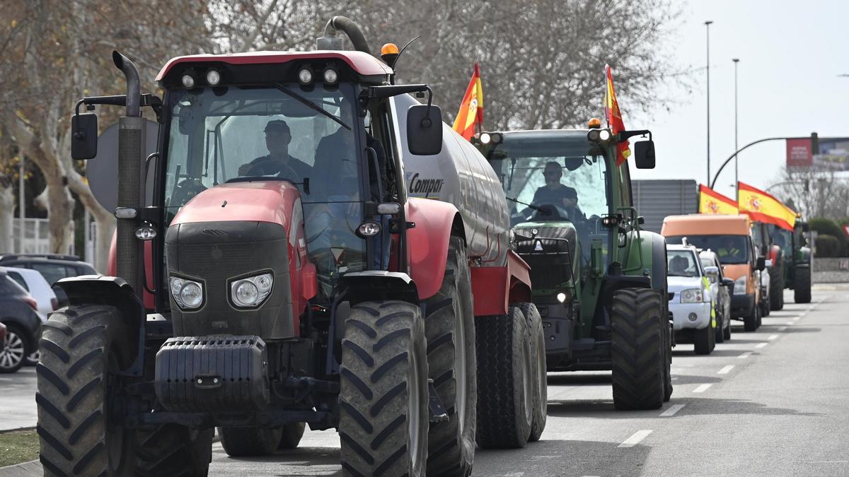 Tractorada de los agricultores independientes en Castelló, en febrero del 2024.