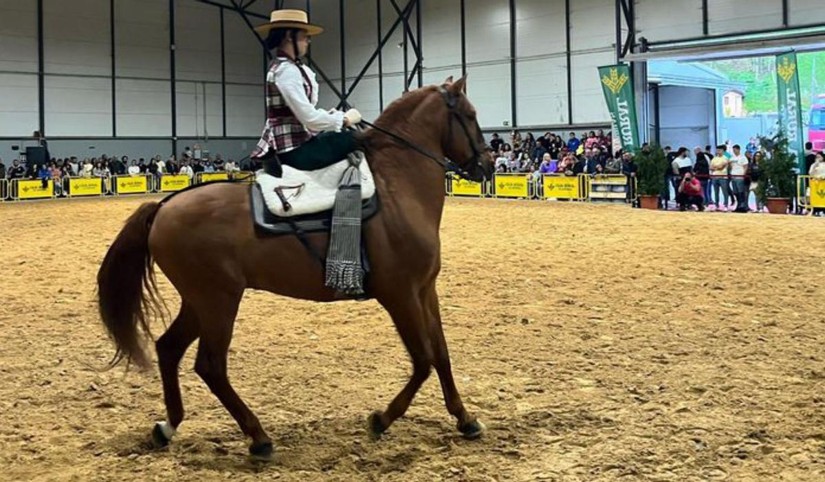 Laviana, fin de semana a galope