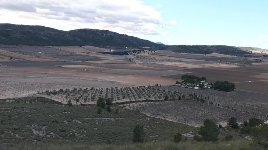 Villena registra -7,4 grados en la madrugada de este lunes