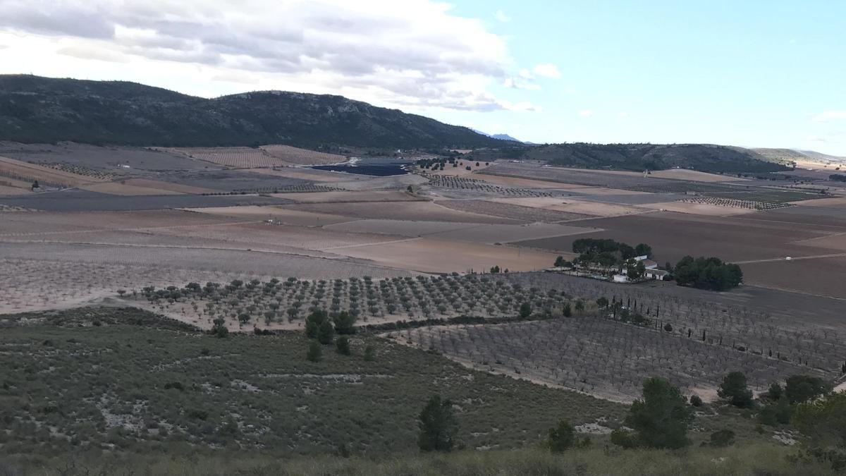 El Cabezo de la Virgen de Villena, una de las zonas donde se registran las temperaturas más bajas del Alto Vinalopó.