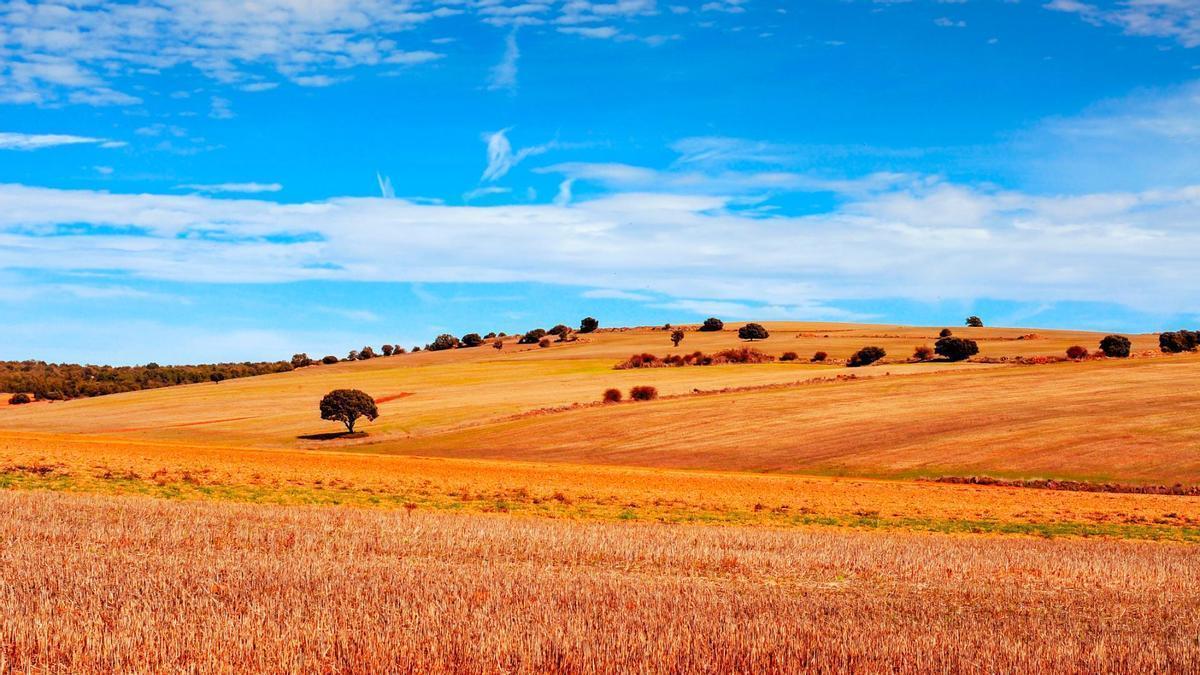 Un lugar que enamoró profundamente a Miguel Delibes.