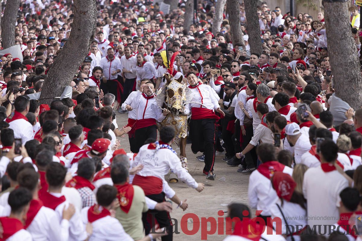 Así se ha vivido la carrera de Los Caballos del Vino en Caravaca