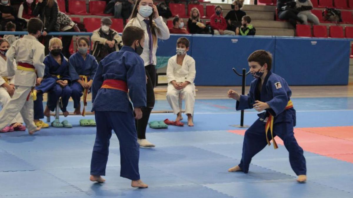 Moment del torneig que es va disputar a Navàs | JUDO EIX NAVÀS