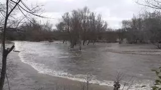 Continúa el aviso rojo por el riesgo de desbordamiento de los ríos Jarama Alberche y Henares en Madrid