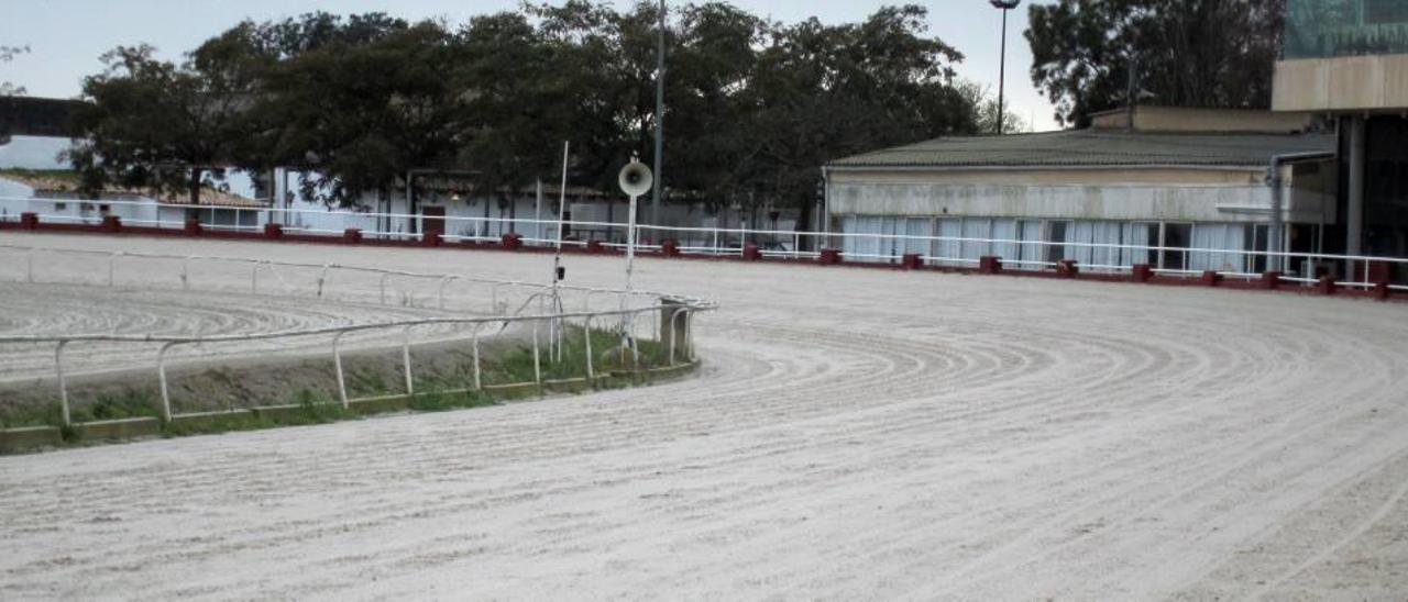Imagen del estado, y buenas condiciones, el martes la pista de competición del Hipòdrom de Manacor, sobre las 16:00 horas.