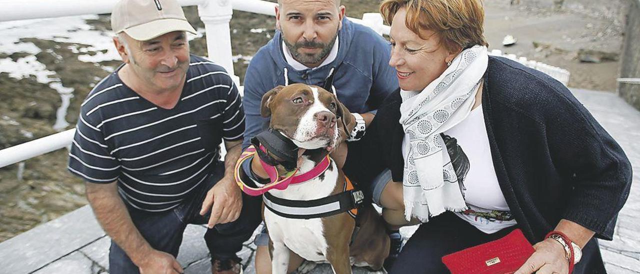 José Manuel Viétez, Víctor Viétez y Mariví Manrique, junto a la perra &quot;Luna&quot;, cruce de American Stafford con Pitbull, en la rampa de acceso a la escalera 23 en Gijón.