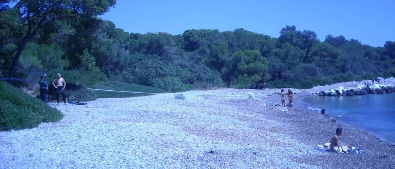 Imagen de la playa de Alcanada, que en verano será apta para los animales domésticos.