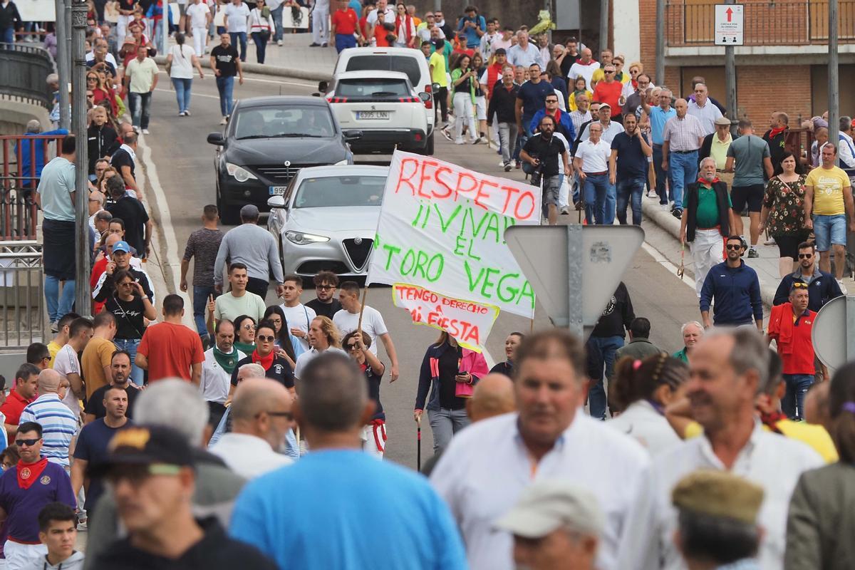 Los festejos del Toro de la Vega, en imágenes