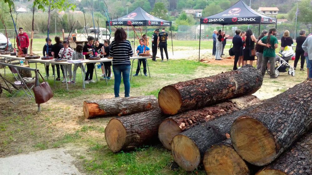 La madera quemada se convierte en arte