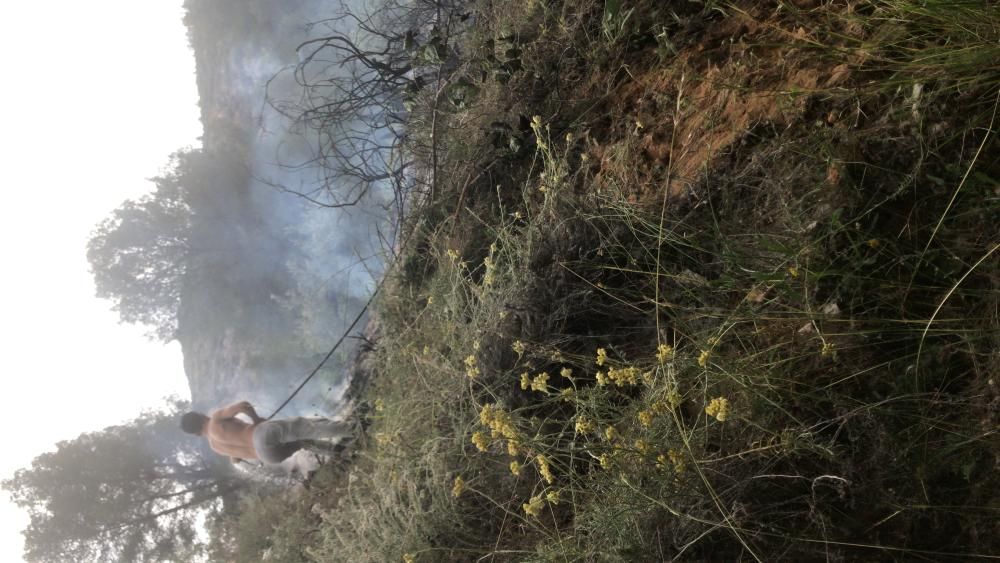 Incendio en El Genovés