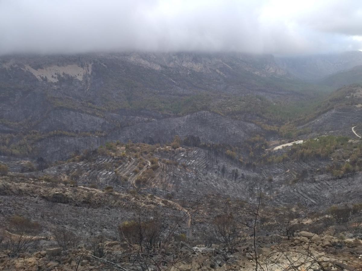 La destrucción del incendio de Tàrbena