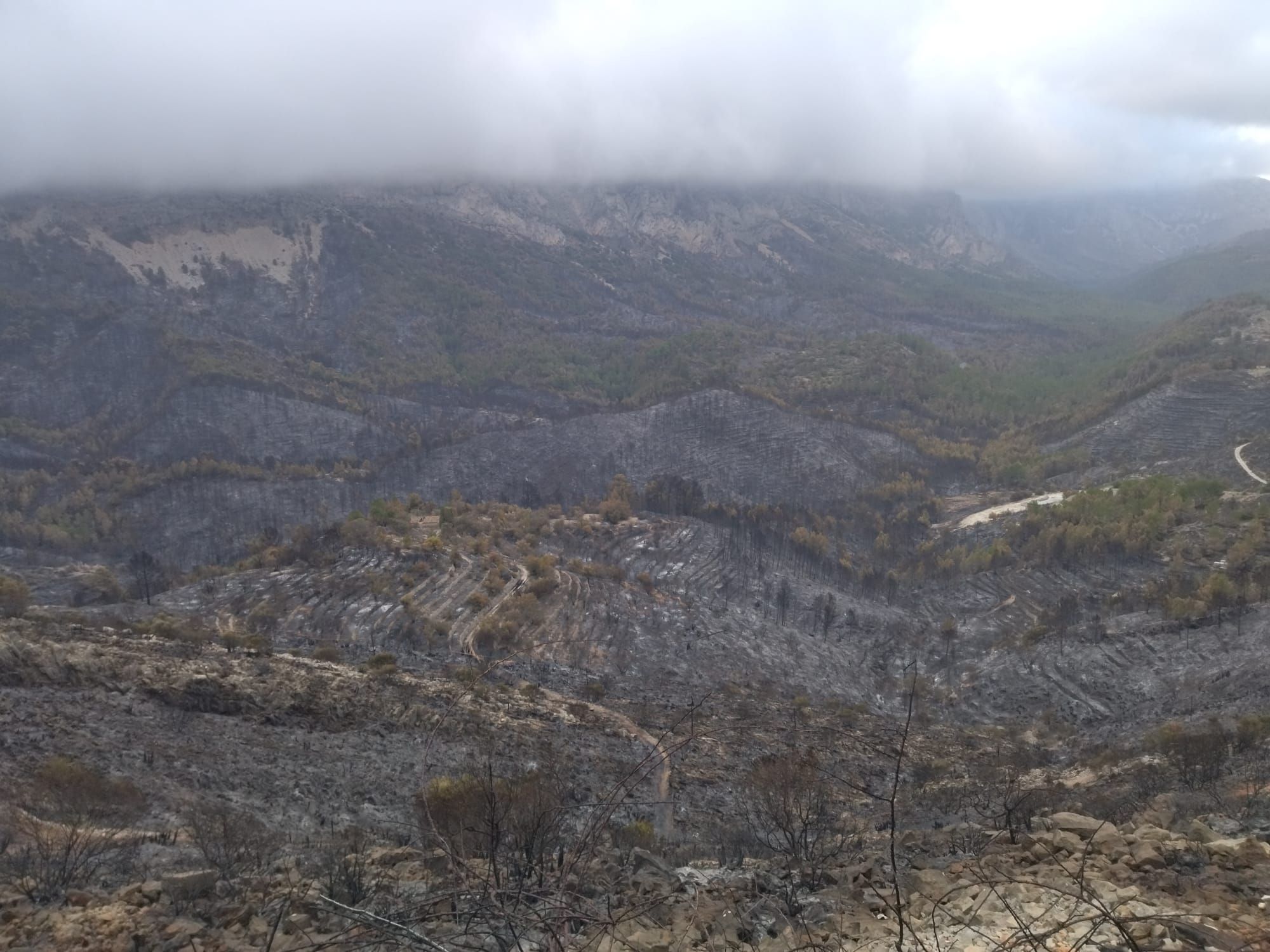 La destrucción del incendio de Tàrbena, en imágenes