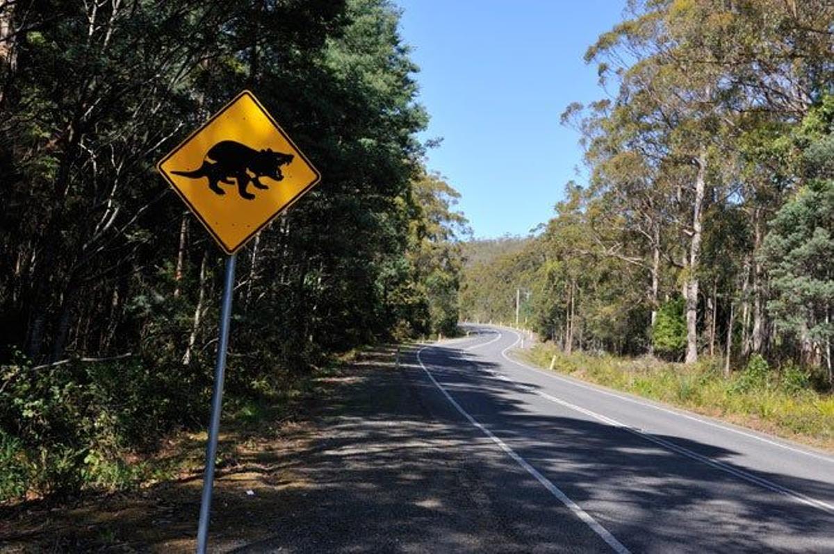 Señal en una carretera de Tasmania.
