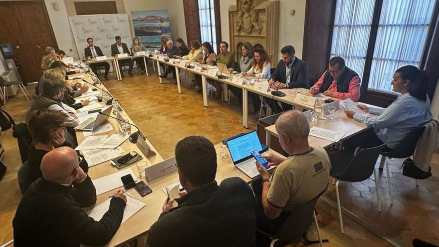 Imagen de la reunión, ayer, de la Comisión de Impulso del Turismo Sostenible. | CAIB