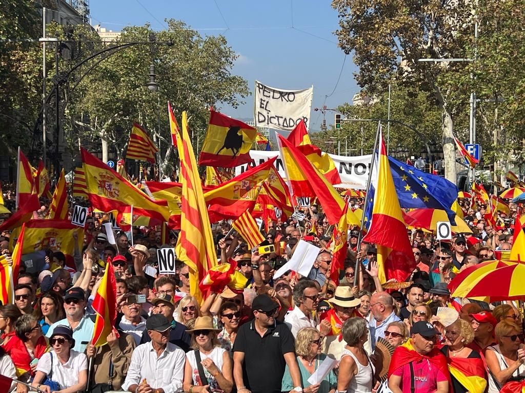 La manifestació en contra la amnistia i autodeterminació en imatges