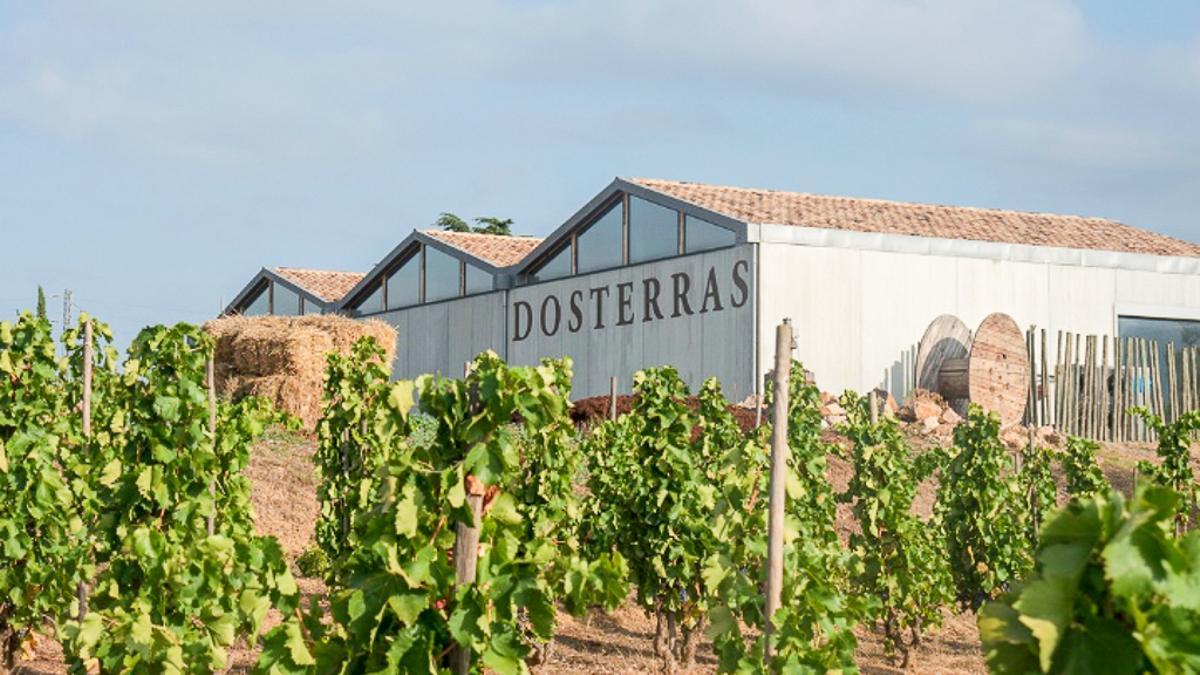 Bodegas Dosterras treballa la viticultura responsable i produeix vins de manera limitada.