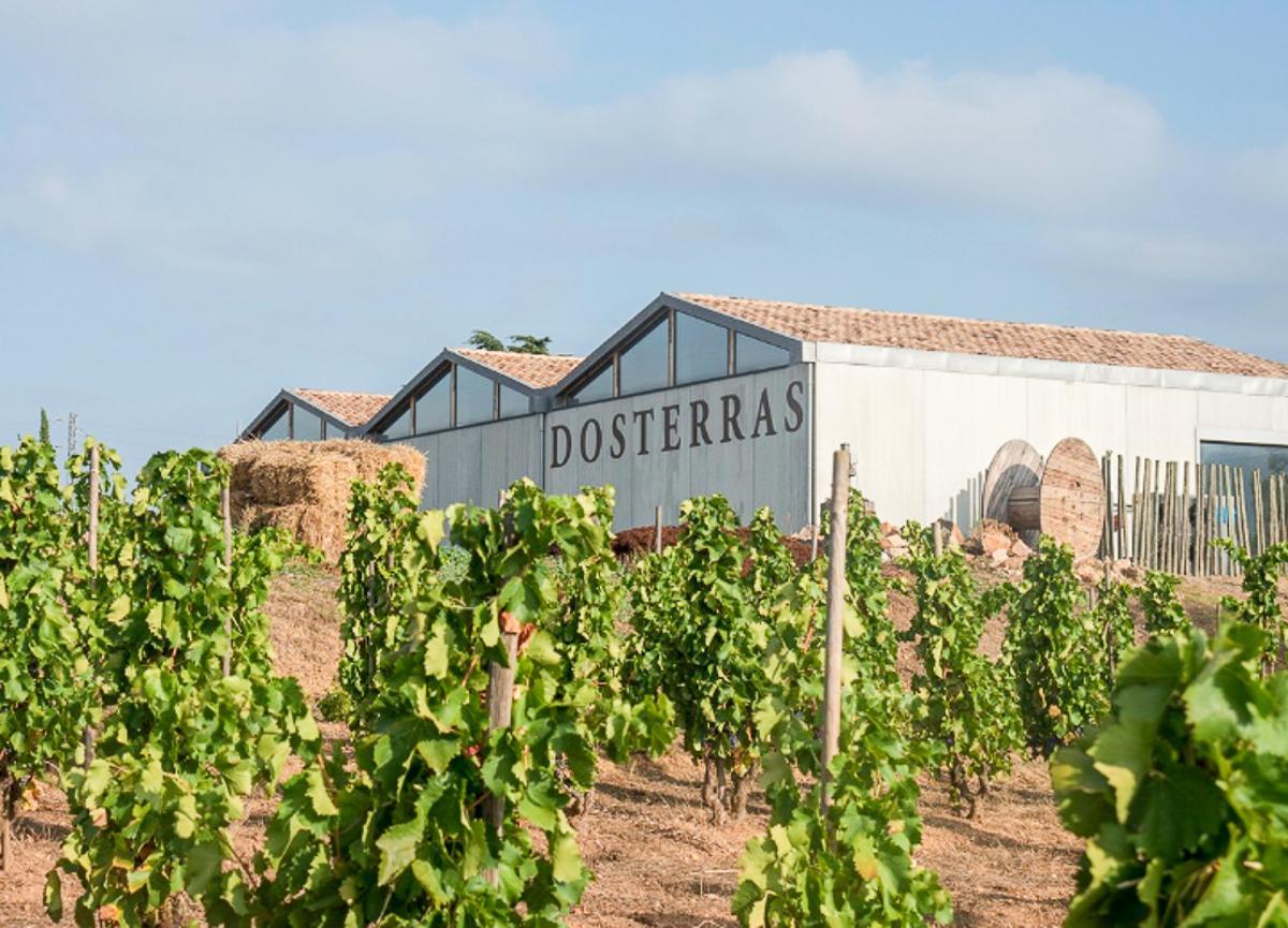 Bodegas Dosterras treballa la viticultura responsable i produeix vins de manera limitada.
