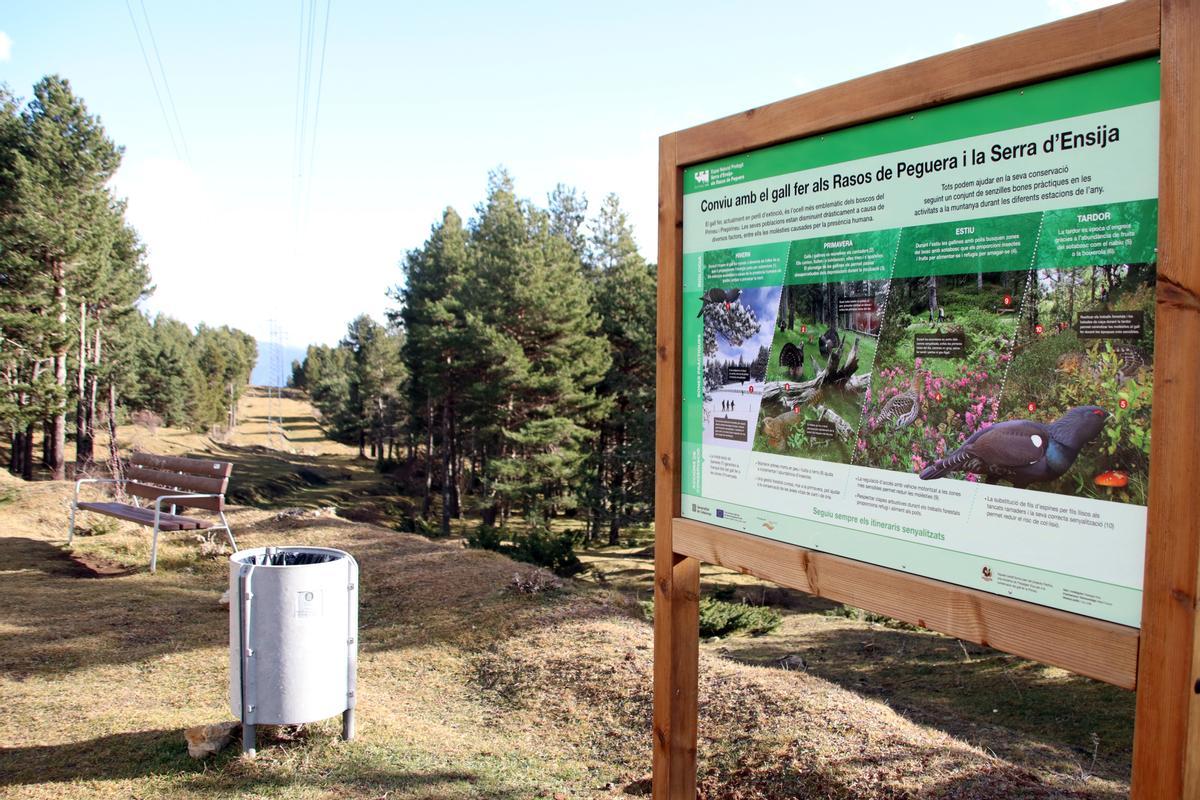 Cartell de benvinguda als Rasos de Peguera que explica la biologia de l'espècie