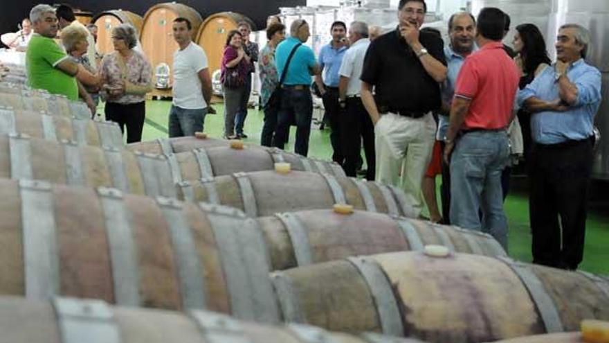 Asistentes a la inauguración de las nuevas bodegas &quot;Forjas do Salnés&quot; en el polígono industrial de Sete Pías (Cambados).  // Iñaki Abella